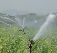 /album/tipos-de-riego/riegos-por-aspersion-jpg/